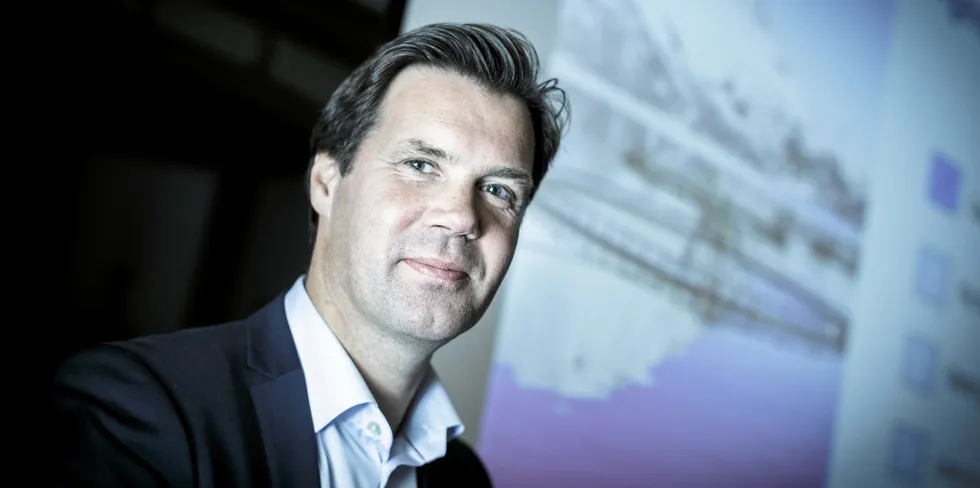 Henning Beltestad, Leroy CEO