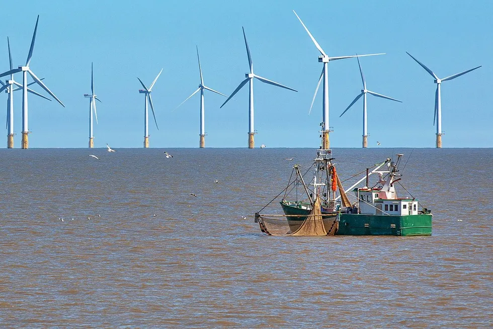 . Offshore wind developers often come into conflict with fishing interests during planning processes.