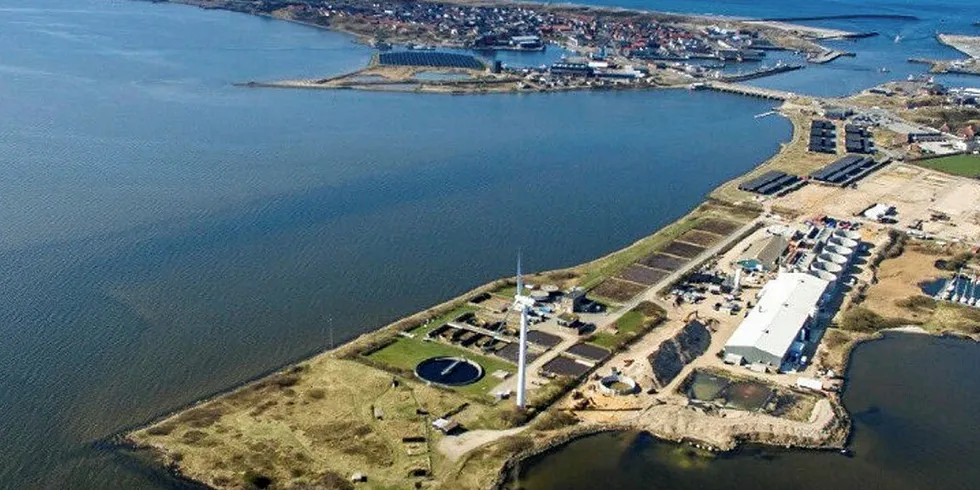Atlantic Sapphire's Danish site.