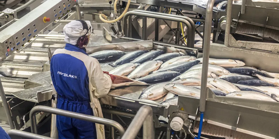 The COVID-19 outbreak has so far not impacted production, according to salmon farmer Nordlaks.