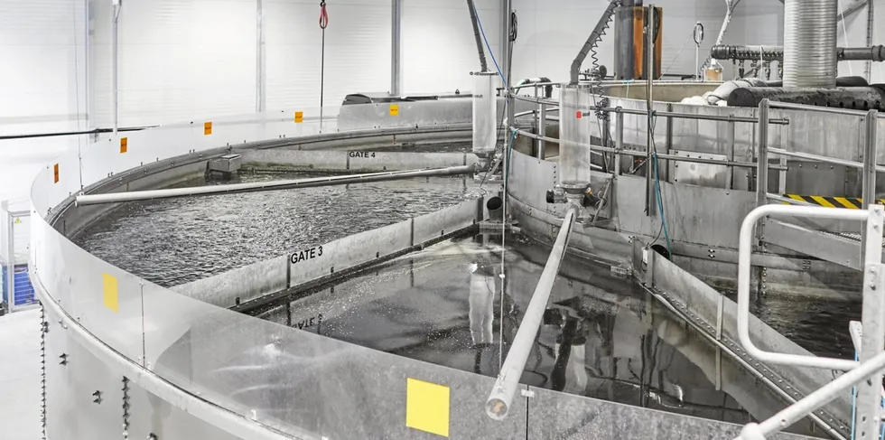 Blue Aqua plans to launch Oman's first hyper-intensive round tank system, targeting annual production of 1,000 metric tons of shrimp.