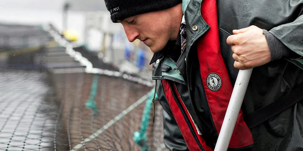 In addition to impacting more than 1,500 jobs in the region, the decision will mean a potential loss of over CAD170 million ($135 million/€111 million) to BC’s salmon farmers from having to euthanize 10.7 million young fish.