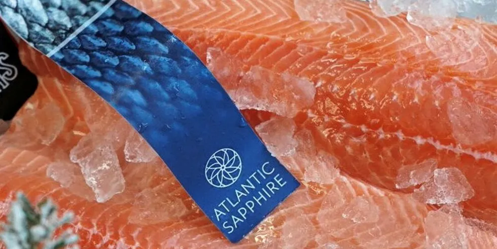 A better first quarter for Atlantic Sapphire in harvest terms.