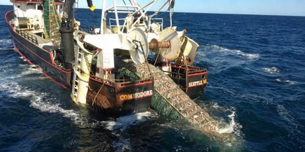 The F/V Commodore fishing for pollock in the Eastern Bering Sea.