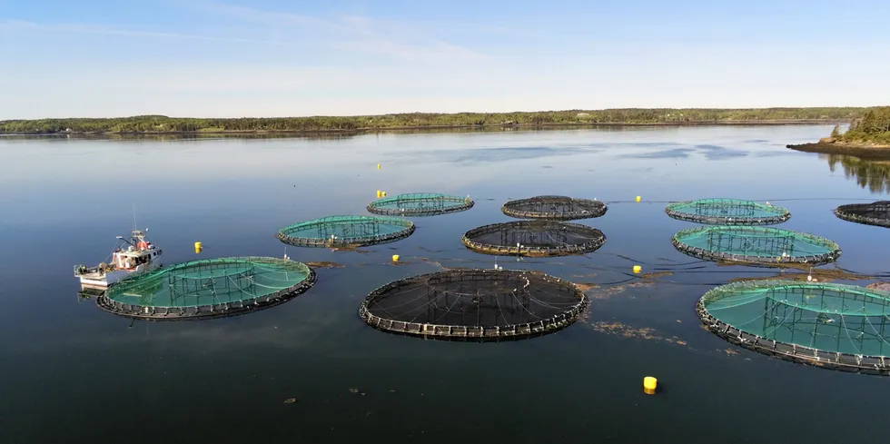 Nevertheless, the pattern of the previous decade, where capture fisheries production remained broadly stable while aquaculture production grew, is expected to continue.