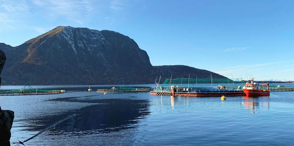 A newly formed Scottish aquaculture joint venture is launching the first semi-closed containment farmed salmon facilities in Scotland.