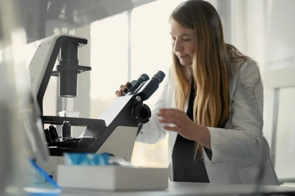 "The findings indicate that red blood cells can be used to find out how stressed the fish have been, and perhaps learn more about why the combination of stressful treatment and common viral infections causes mortality in farmed salmon," Veterinary Institute Senior Researcher Maria Dahle said.