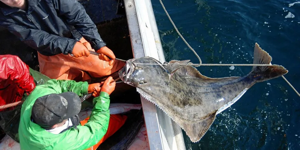 Alaska Longline Fishermen’s Association has long advocated for abundance-based management for halibut.