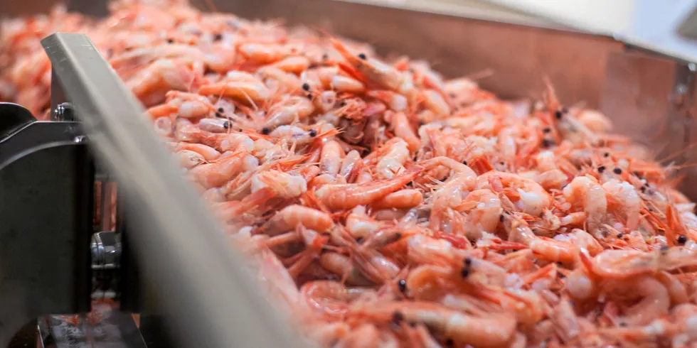 All raw materials processed in Holmadrang's shrimp processing facility are imported, mainly from northern Norway and Canada.