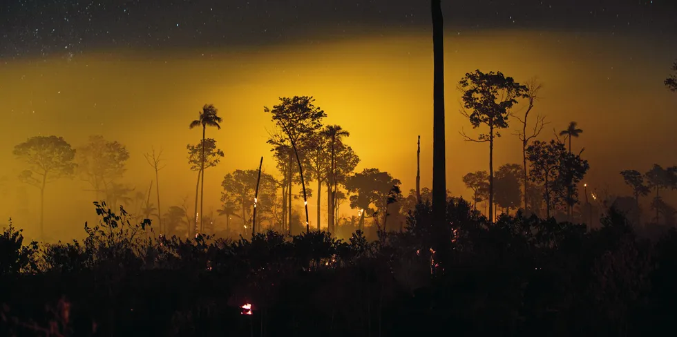 The effects of deforestation by soy production in the state of Mato Grosso in Brazil.