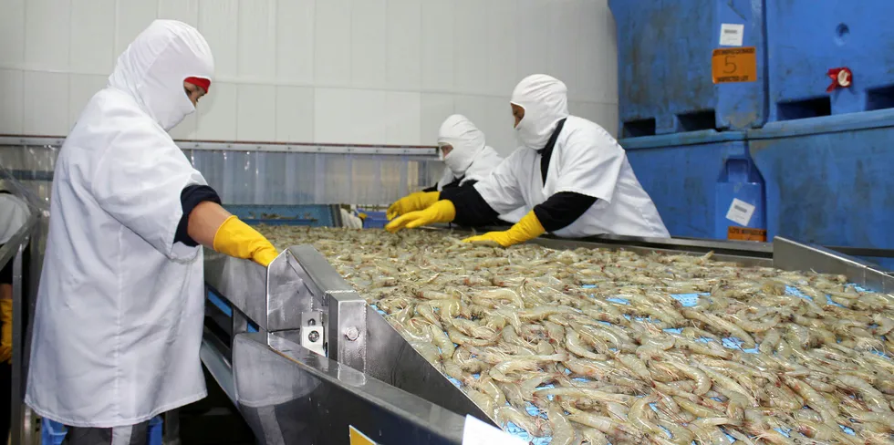 Chinese demand for Ecuadorian shrimp has all but dried up.
