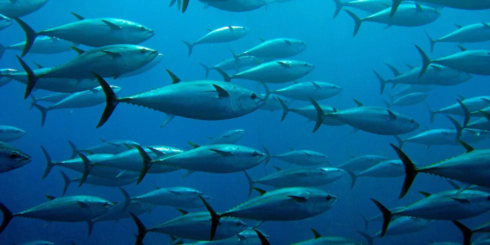 Baja Aqua Farms is keen to serve growing demand.