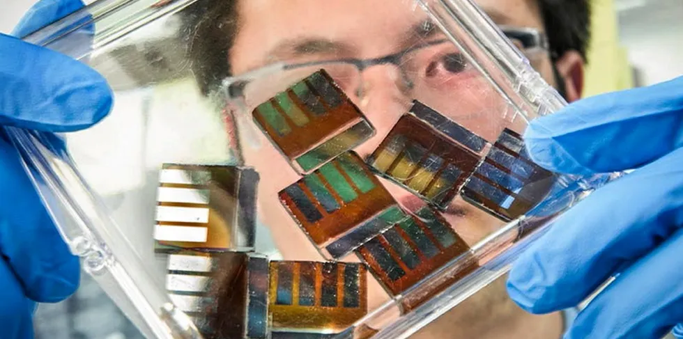 US National Renewable Energy Laboratories researcher Mengjin Yang examines hybrid perovskite solar cells