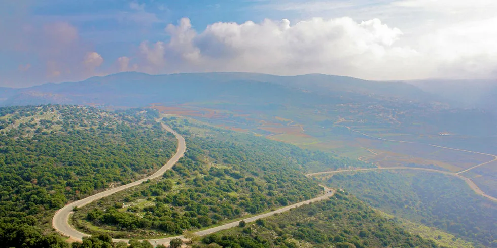 The wind farm is planned for the Golan Heights.