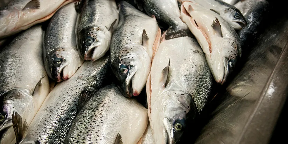 A truck driver carrying salmon was attacked on July 7.