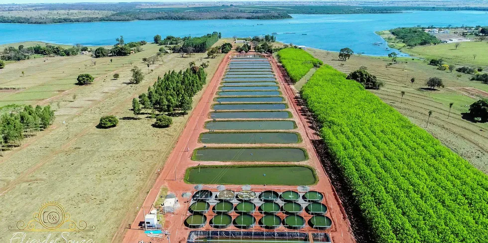 Brazilian tilapi producer GeneSeas just got a major channel into the US market with the acquisition of Tropical Aquaculture.