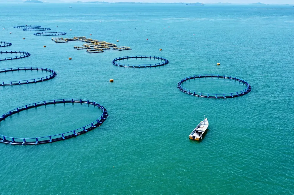 Barramundi Group is working with its financial advisors, KordaMentha, to implement a comprehensive restructuring scheme aimed at securing financial stability.