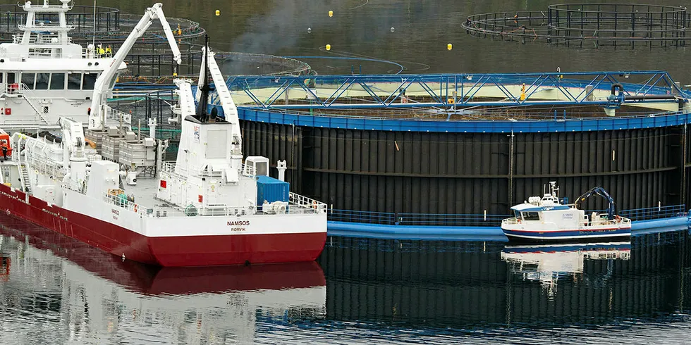 Seafarming Systems spearheaded the concept and design of the project.