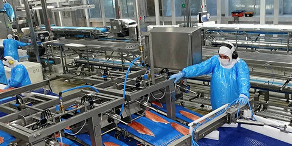 Chilean salmon plants have increased capacity as debate rages about easing lockdown restrictions.