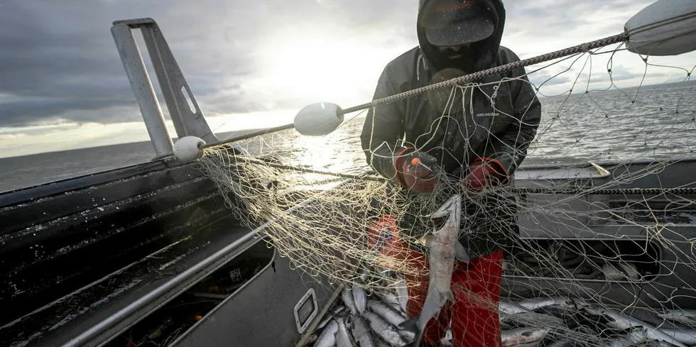 Seven additional seafood workers tested positive for COVID-19 on July 14, according to data published by the Alaska Department of Health and Social Services.
