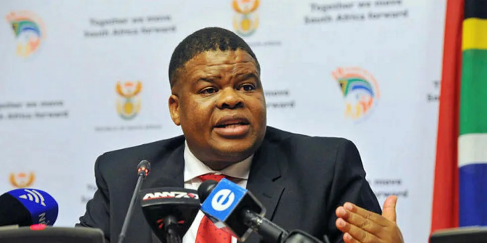 David Mahlobo is the latest energy minister to pledge and end to the PPA impasse.