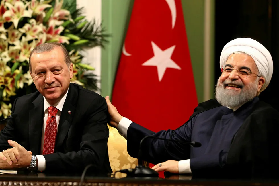 All smiles: Iran's President Hassan Rouhani, right, meets with Turkey's President Recep Tayyip Erdogan in Tehran