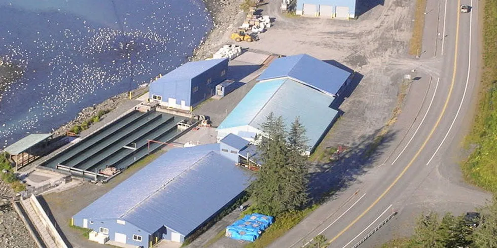 Valdez Fisheries Development Association was formed to raise, propagate, and market fish and fish products in Prince William Sound.
