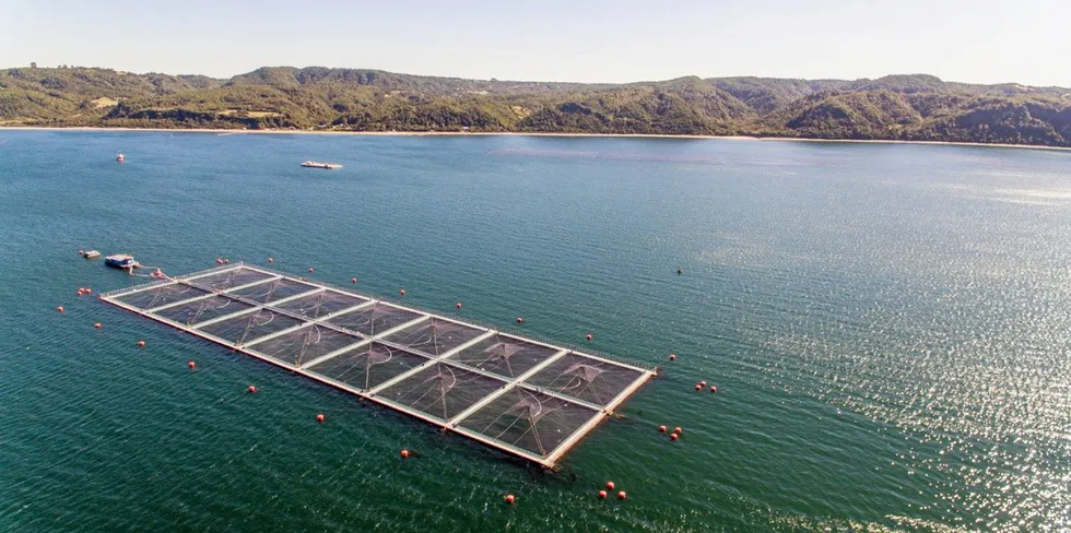 Algal blooms have reared their ugly heads at Camanchacha sites.
