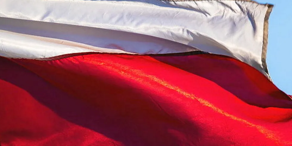 . Flag of Poland.