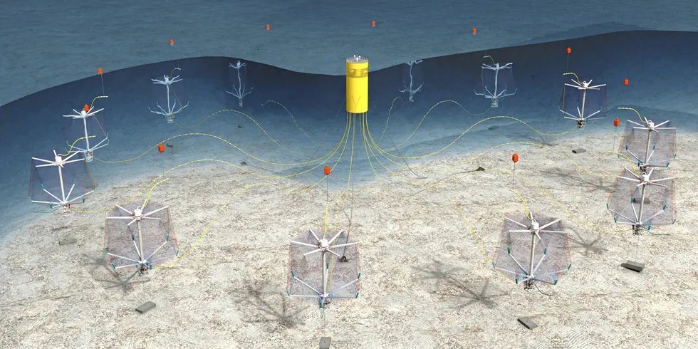 AMP Saumon de France is looking at ways around higher sea temperatures off the coast of northern France.