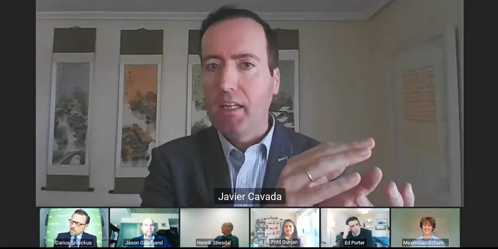 Highview Power chief executive Javier Cavada speaking at the Recharge digital roundtable, Energy Storage — Batteries vs Long-Duration Technologies, this week.