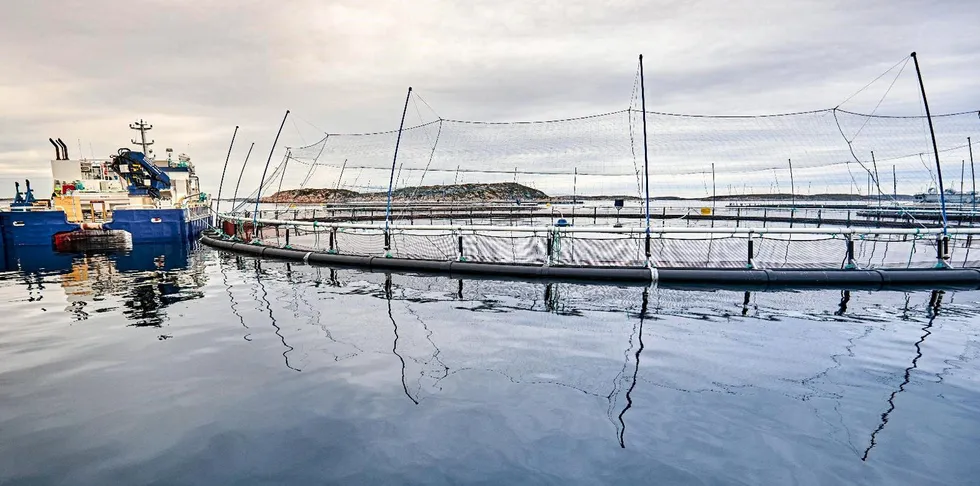 Norcod's existing farm site in Norway.