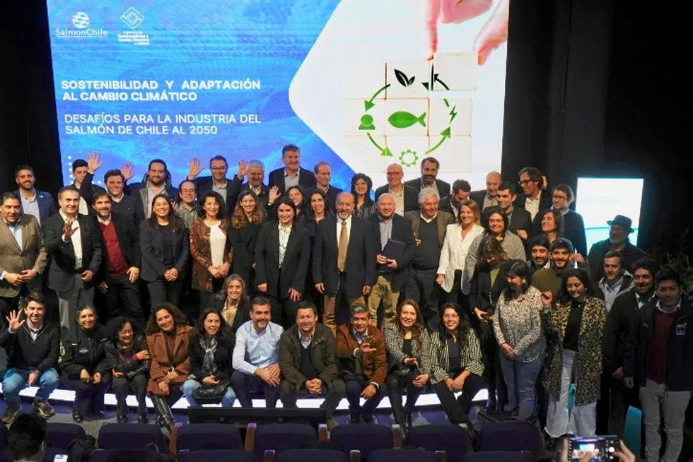 Companies that complied with the measures include Akva Group, Australis, Fiordo Austral, Blumar, Cermaq, Bioled, Cooke Chile, Marine Farm, Landes, Garware, Gripship, Yadran, Salmones Austral, Salmofood, Pharmaq, Multi-X, Camanchaca, Skretting, Ventisqueros, Veterquimica and Zerocorp.