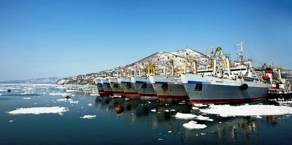 Russian pollock trawlers belonging to Okeanrybflot. An additional segment of Russia's pollock fishery -- the Western Bering Sea -- is up for Marine Stewardship Council (MSC) assessment.