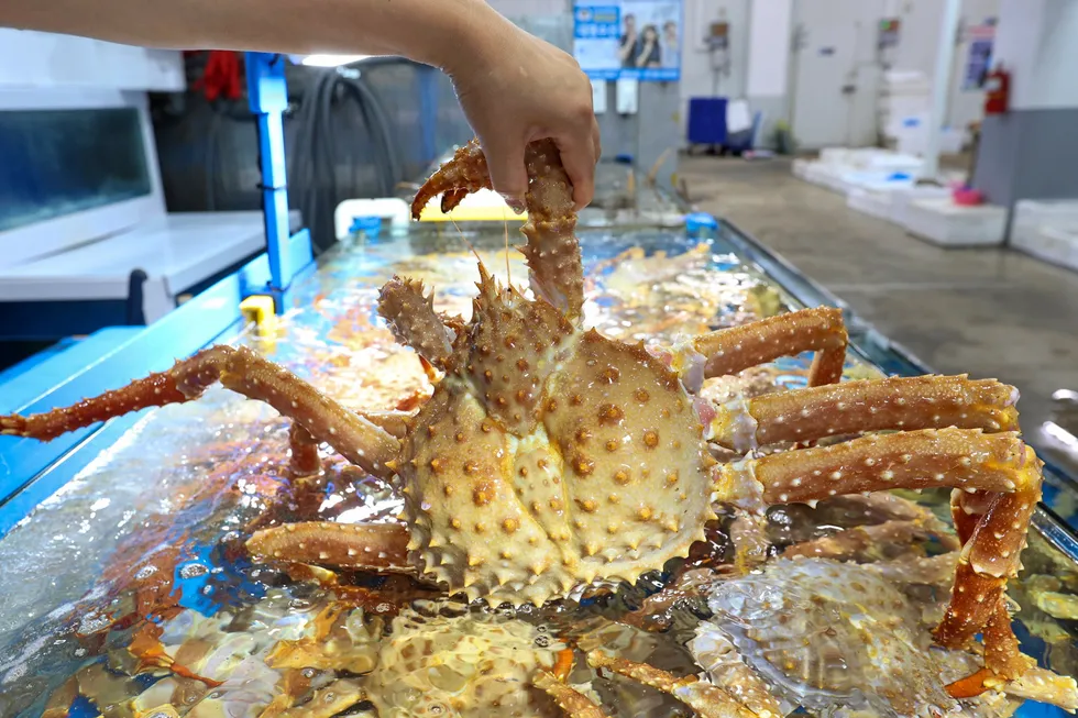 Russian crab prices in Asia rebounded strongly in the first six months of the year,