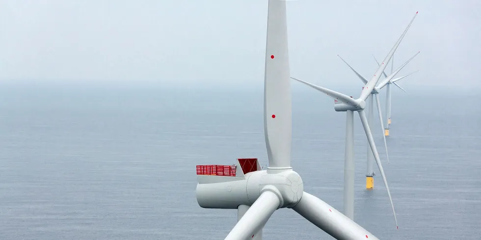 Dong's Westermost Rough wind farm. Foto: www.paul-langrock.de