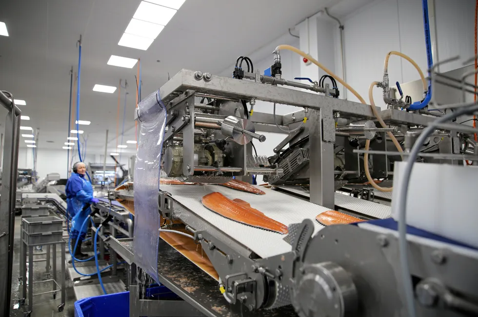 Price falls welcome the New Year as processing plants reopen.