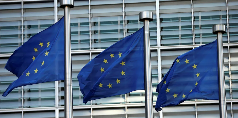 EU flags outside European Commission headquarters in Brussels.