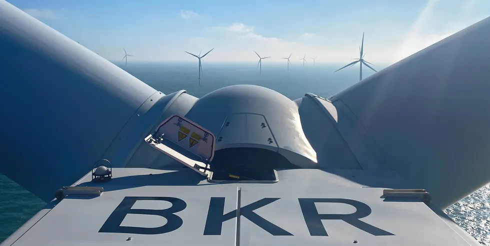 Borkum Riffgrund 1