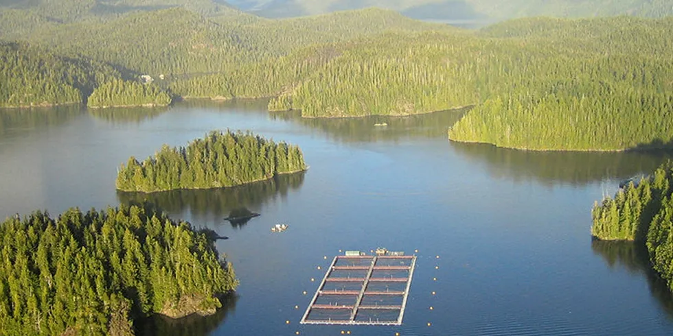 The genome is being promoted to BC salmon farmers.
