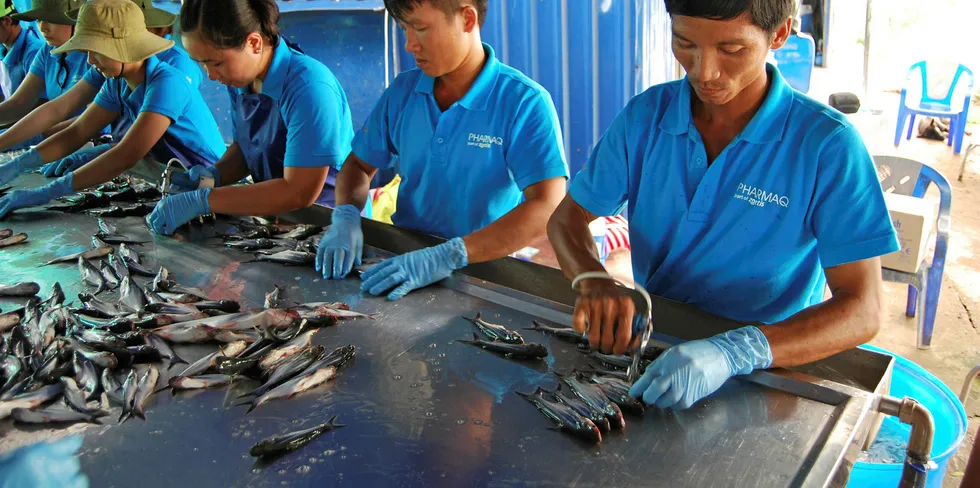 Pharmaq Vietnam pangasius
