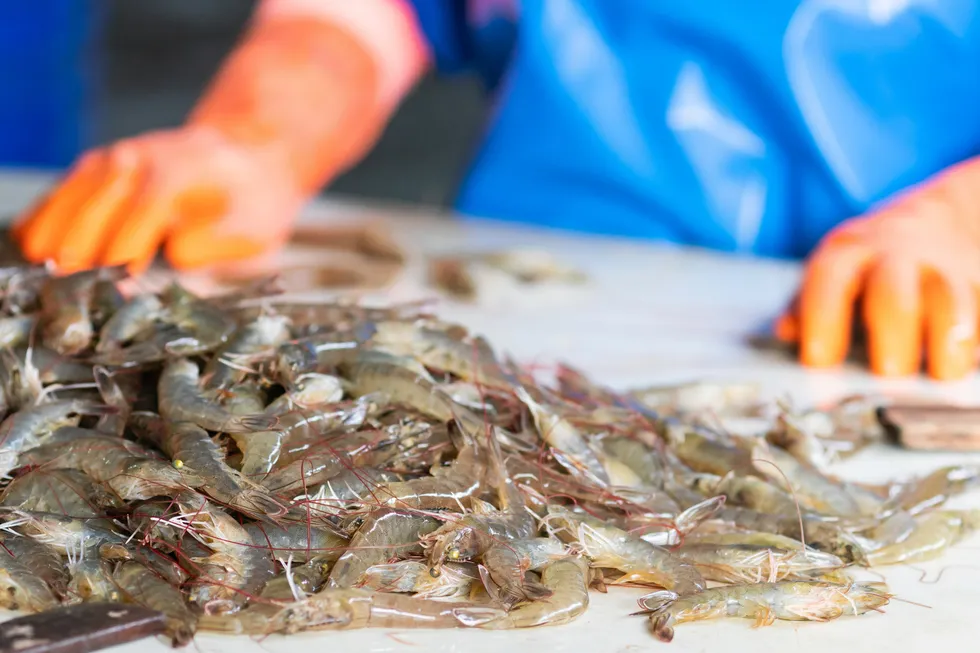 Brazilian shrimp exporters are confident of gaining clearance to ship to China from next year.
