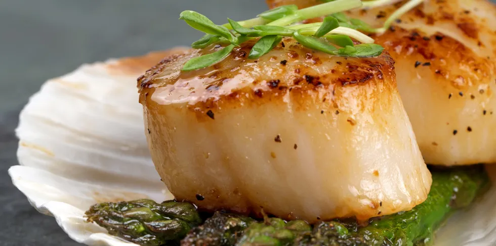 Atlantic Sustainable Catch, a newly formed shellfish processing and distribution giant, has a new CEO.