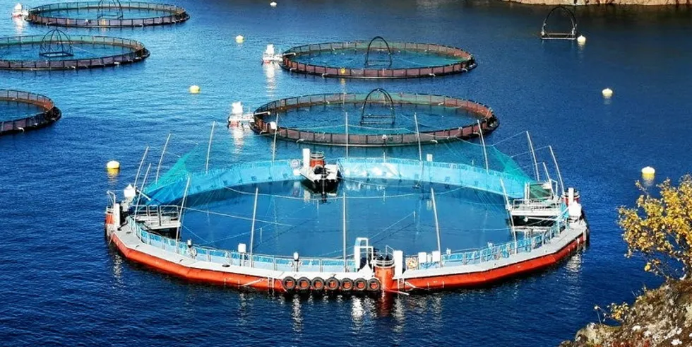 Cermaq Canada has been trialing a semi-closed containment salmon farming system at its operations on the west coast of Vancouver Island.