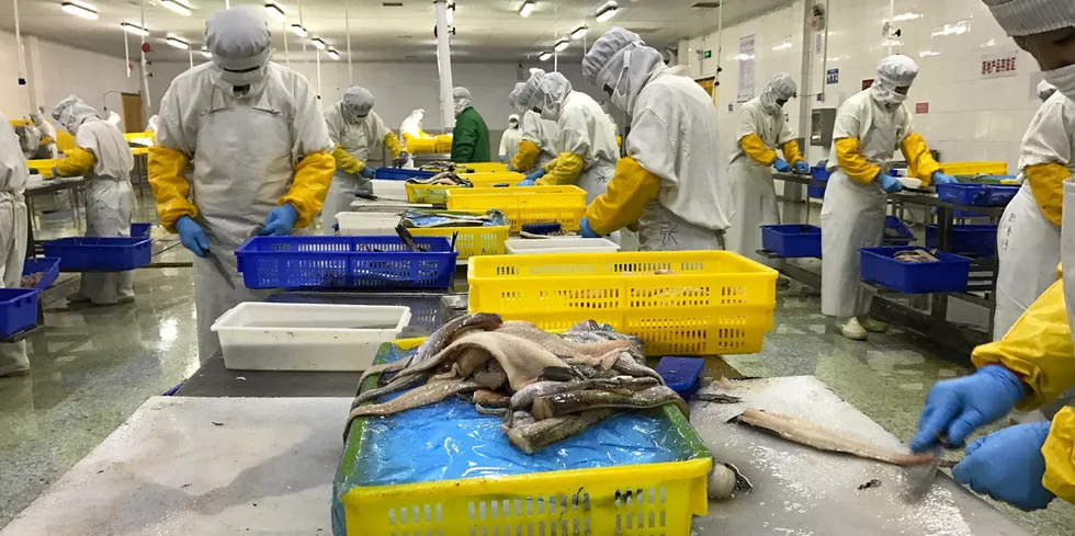 New US trade restrictions on Russian-origin fish reprocessed in China are expected to drive many Chinese processors out of business.