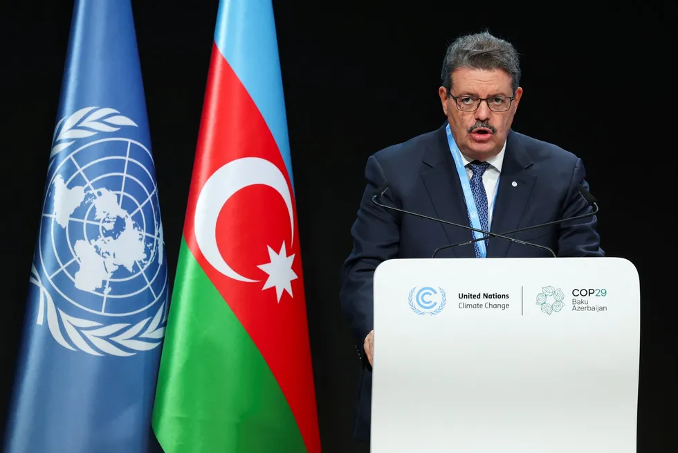 GECF secretary general, Mohamed Hamel, said the new report report “dispels the myth that we could stop investing in natural gas”.