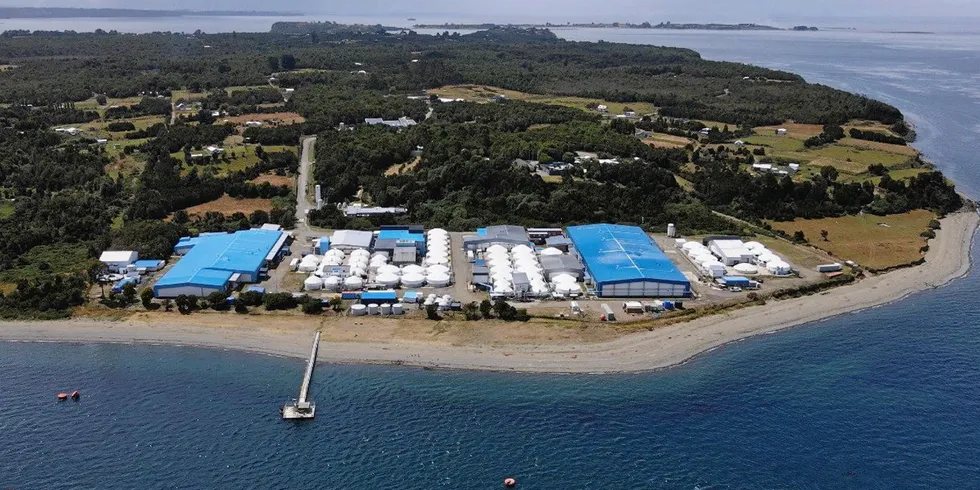 The company's first commercial harvest in December produced around 12 metric tons, but it expects to harvest roughly 100 metric tons of king salmon by June and 300 metric tons by the same time next year.