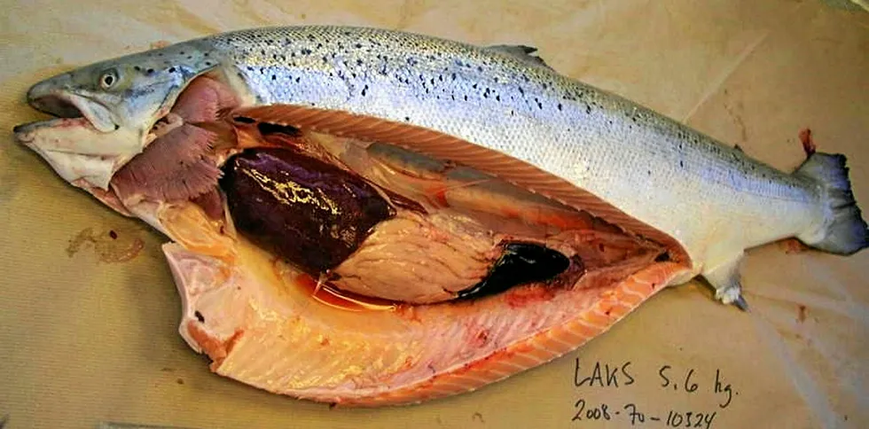 ISA incidents have been reported several time over the course of July at Cooke's Cold Ocean Salmon farms in NL.