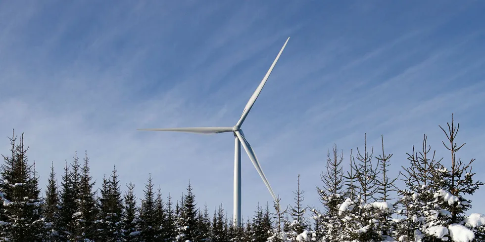 Developing wind farms: Russia