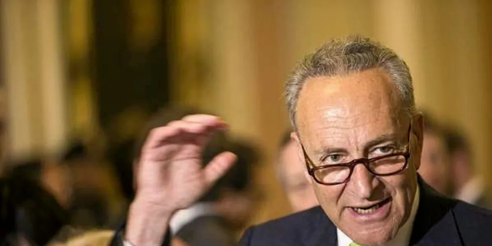 US Senate Majority Leader Charles Schumer